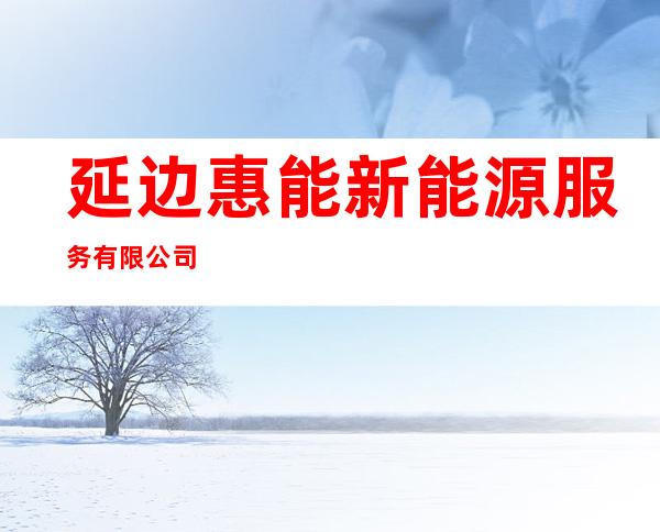 延边惠能新能源服务有限公司